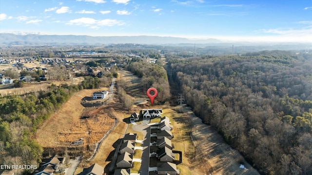 birds eye view of property featuring a mountain view