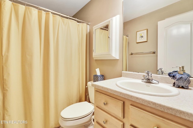 bathroom with toilet and vanity