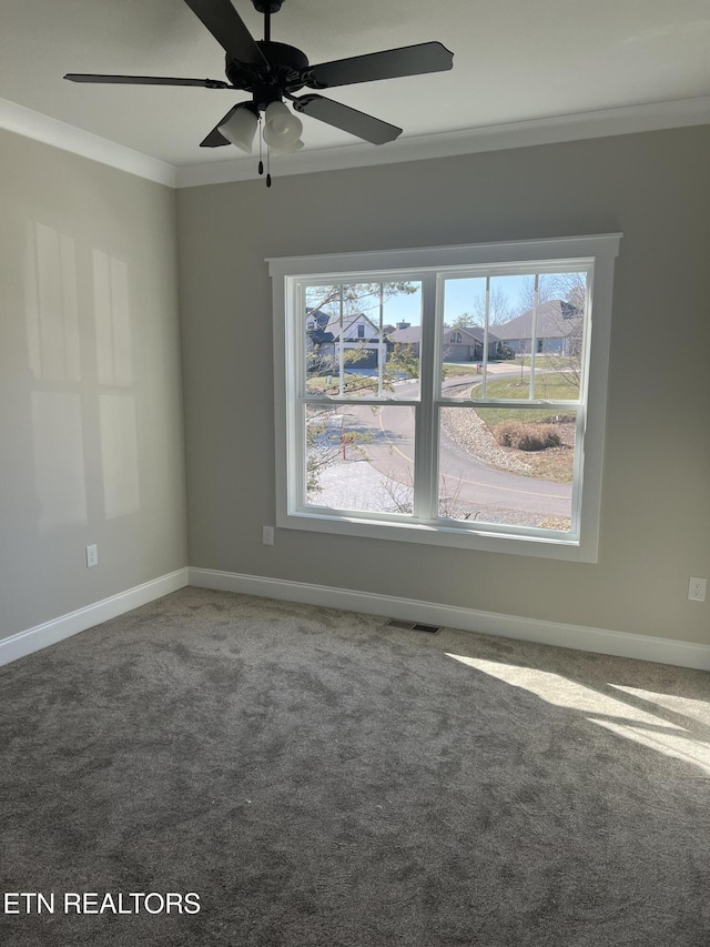 empty room featuring ceiling fan, crown molding, and carpet flooring