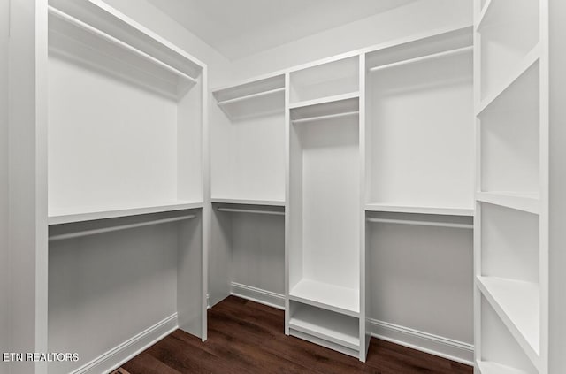 spacious closet with dark hardwood / wood-style floors