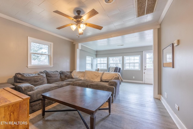 living room with wood-type flooring, ornamental molding, and ceiling fan