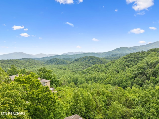 221 Woodland Rd Unit 210, Gatlinburg, TN 37738 - view of mountain backdrop with a forest