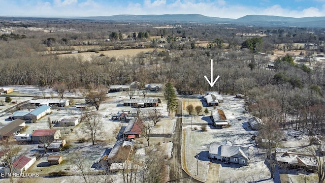 aerial view with a mountain view