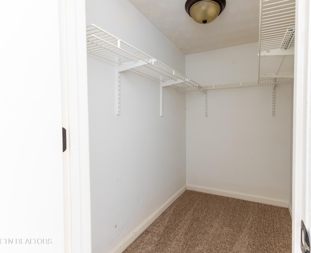 spacious closet with carpet floors