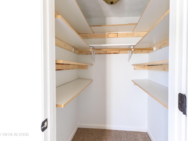 walk in closet featuring carpet floors