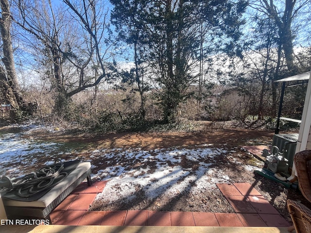 view of yard layered in snow