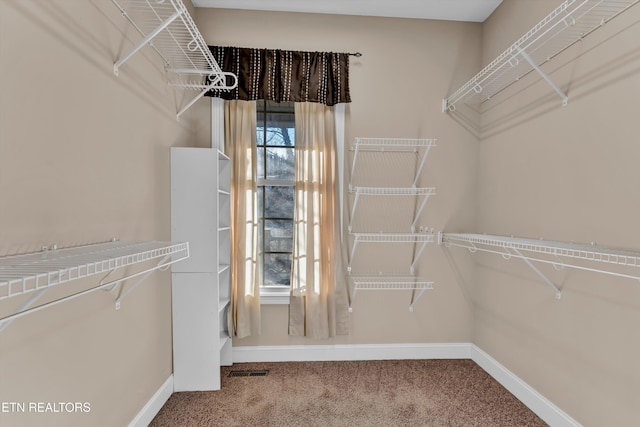 walk in closet featuring carpet