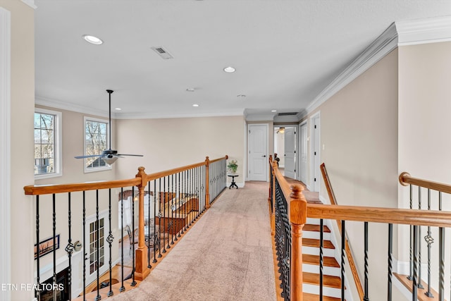 hall featuring crown molding and carpet