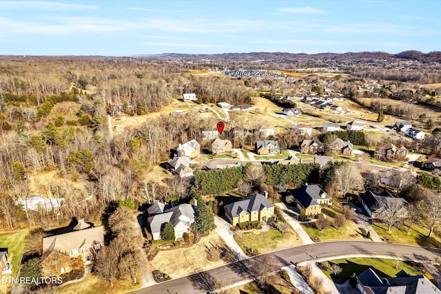 aerial view