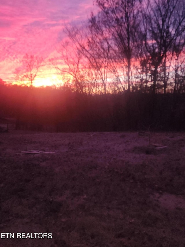 view of yard at dusk