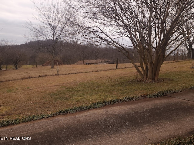 view of yard featuring a rural view