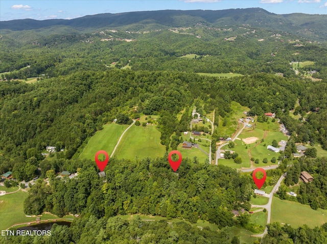 birds eye view of property featuring a mountain view