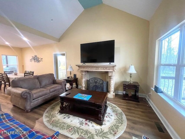 living room featuring hardwood / wood-style flooring and lofted ceiling