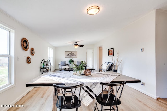 dining space featuring ceiling fan, a wealth of natural light, and light hardwood / wood-style floors