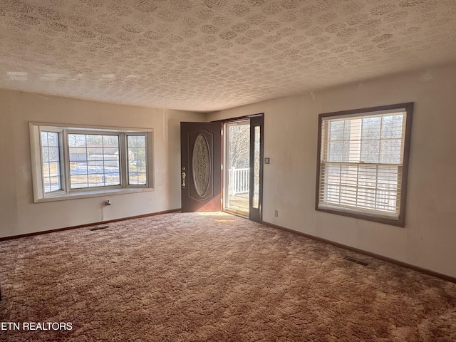 interior space with plenty of natural light, carpet flooring, and a textured ceiling