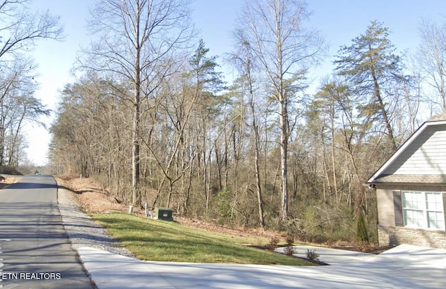 105 Chanusi Way, Loudon, TN 37774 - photo 2
