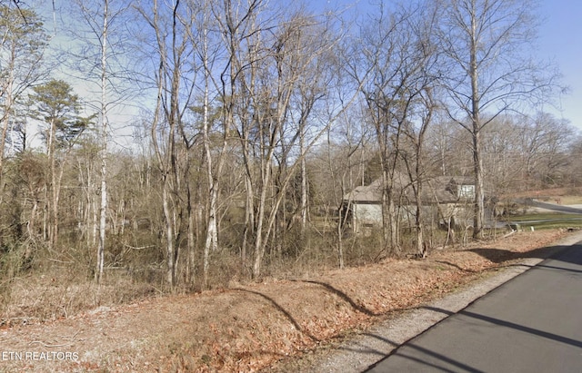 105 Chanusi Way, Loudon, TN 37774 - photo 1