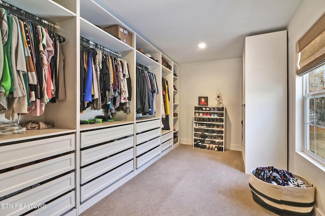 spacious closet featuring light carpet