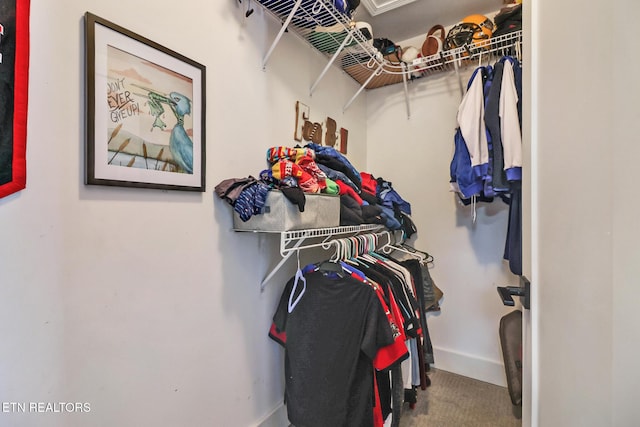 spacious closet featuring carpet floors