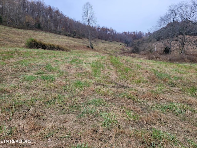 view of yard with a rural view