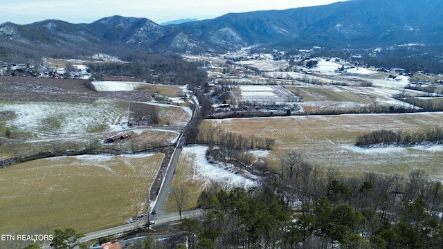 view of mountain feature