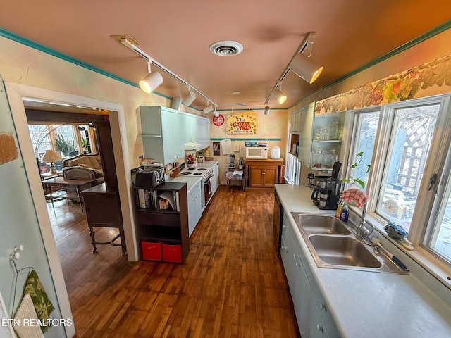 kitchen featuring rail lighting, sink, and dark wood-type flooring