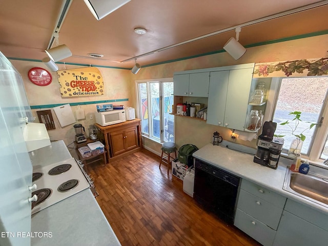 kitchen featuring cooktop, dishwasher, sink, and dark hardwood / wood-style floors