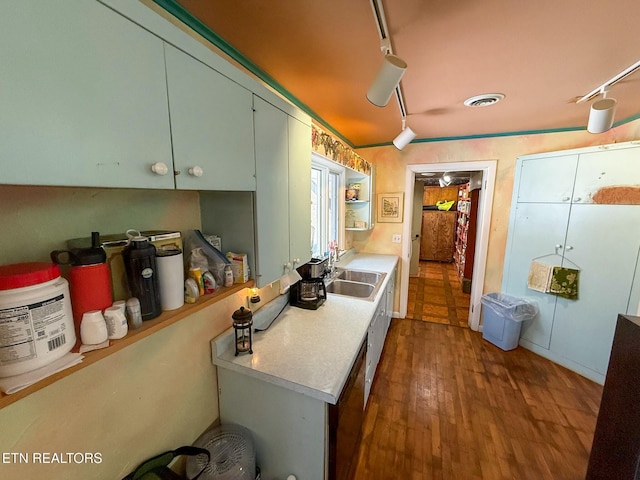 kitchen featuring sink, track lighting, and dark hardwood / wood-style floors