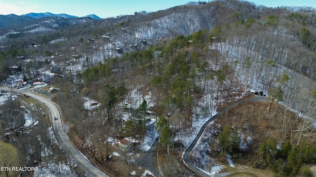 birds eye view of property with a mountain view