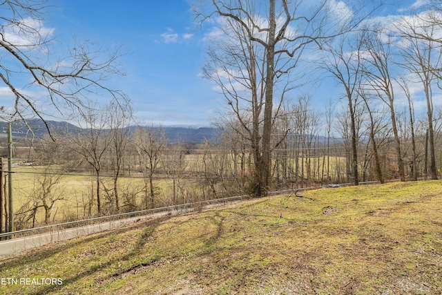 view of yard with a mountain view