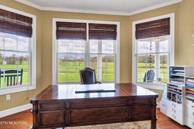 office space with ornamental molding and wood-type flooring