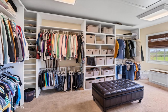 walk in closet with light colored carpet