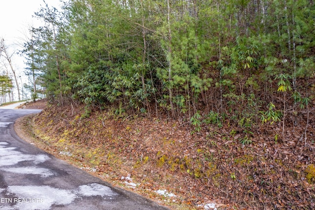 Listing photo 2 for 514 Chetola Trl, Townsend TN 37882