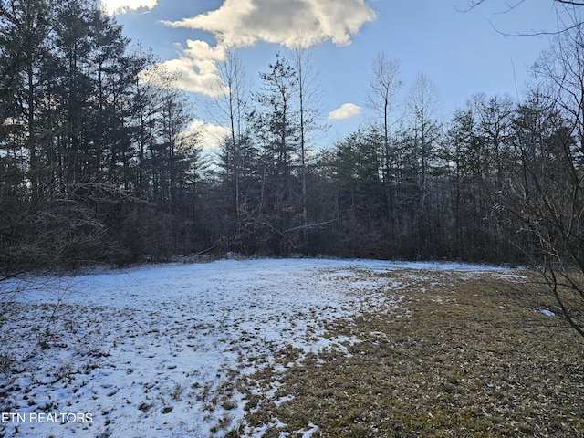 view of yard covered in snow