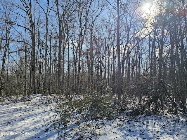 view of snowy view