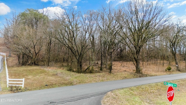 Listing photo 2 for Indian Ridge Rd, Blaine TN 37709