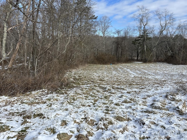 Chapman Rd, Jamestown TN, 38556 land for sale