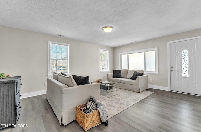 living room featuring wood-type flooring and a textured ceiling