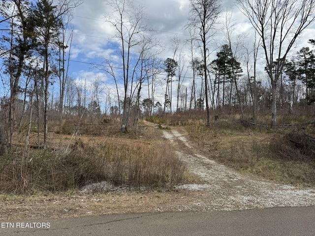 Mccubbins Rd, Strawberry Plains TN, 37871 land for sale