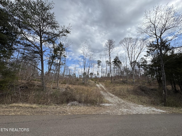 Listing photo 2 for Mccubbins Rd, Strawberry Plains TN 37871