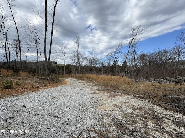 Listing photo 3 for Mccubbins Rd, Strawberry Plains TN 37871