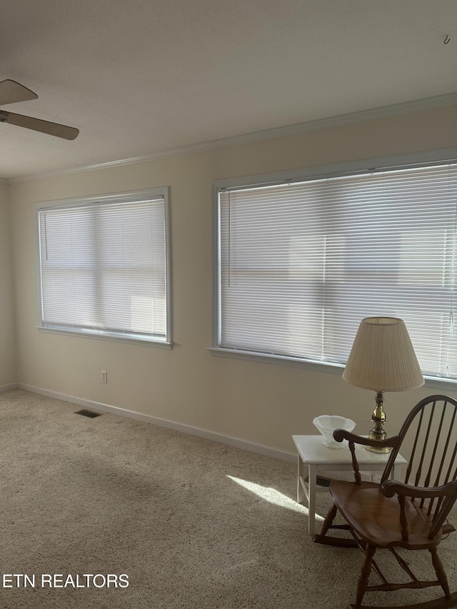 unfurnished room featuring crown molding and carpet flooring