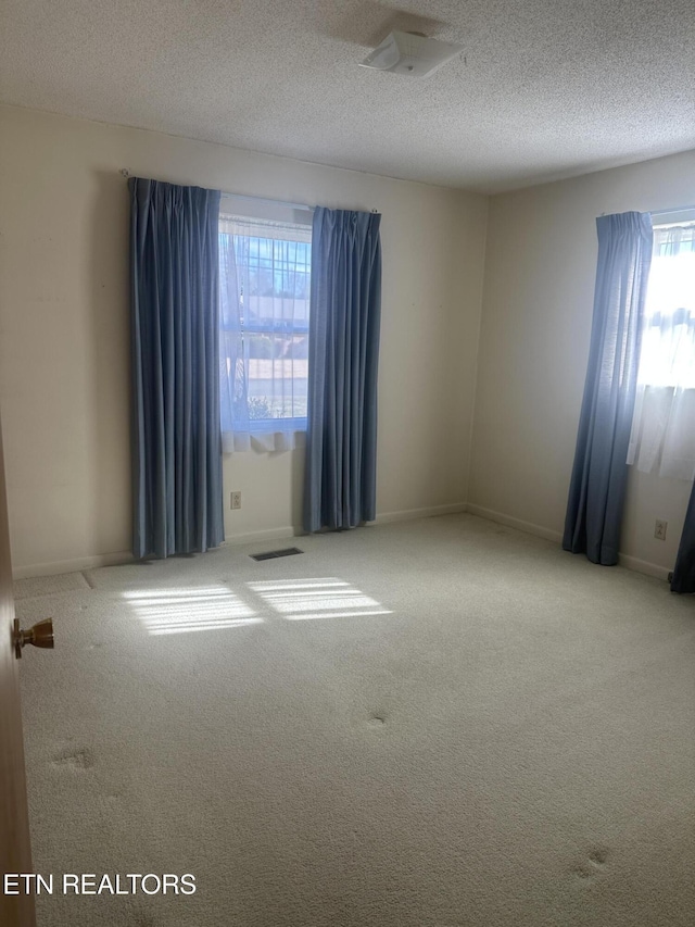 spare room featuring light colored carpet and a textured ceiling