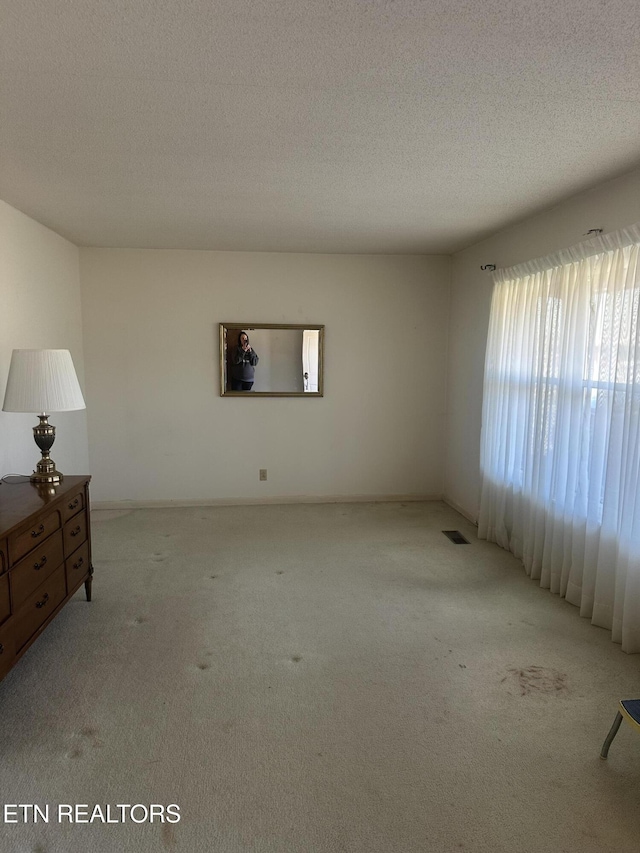 spare room with light carpet and a textured ceiling