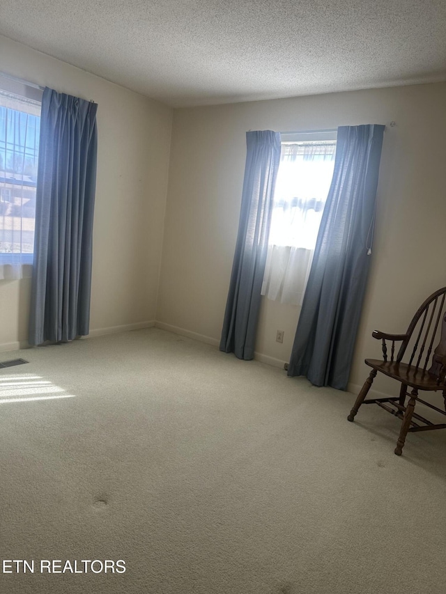 empty room with carpet floors and a textured ceiling