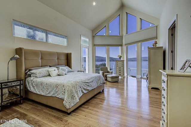 bedroom featuring high vaulted ceiling, a mountain view, and light wood-style flooring