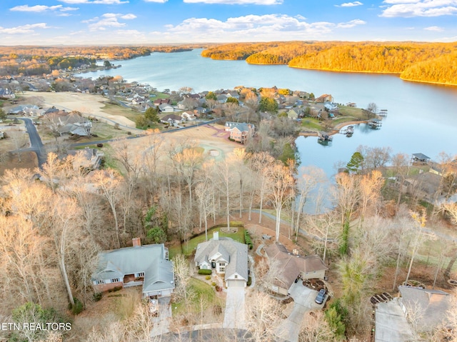 aerial view with a water view