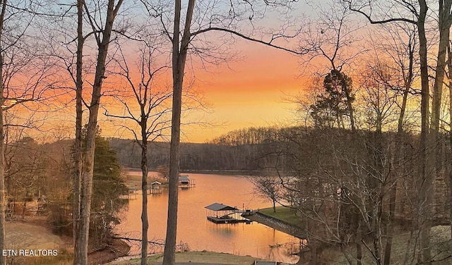 water view with a boat dock