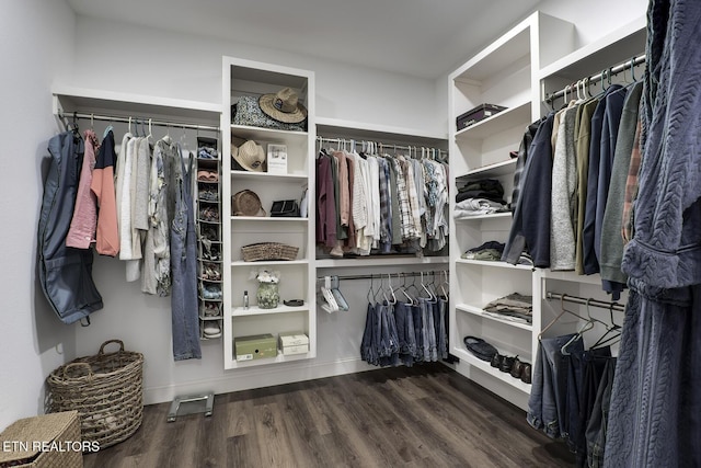 spacious closet featuring dark wood-type flooring