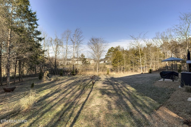 view of yard with central AC unit